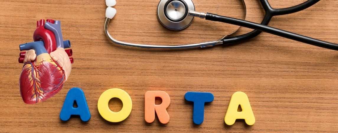 Kalbinizin Direksiyonu Sizin Elinizde