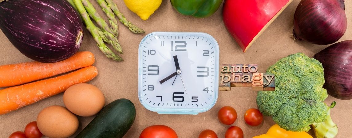 Uzun Süreli Açlıkta Vücut Kendini Temizliyor: İşte Otofajinin Bilimsel Gerçeği