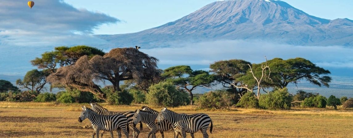 Doğanın En Büyük Yolculuğu: Masai Mara’da Büyük Göç